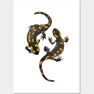 Two salamanders Posters and Art